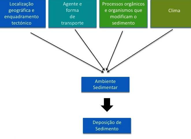 Para além dos fósseis de ambiente, ou de fácies, também as