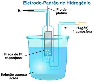 10) Em um laboratório, um grupo de estudantes colocou um pedaço de palha de aço em um prato cobrindo-o com água sanitária.