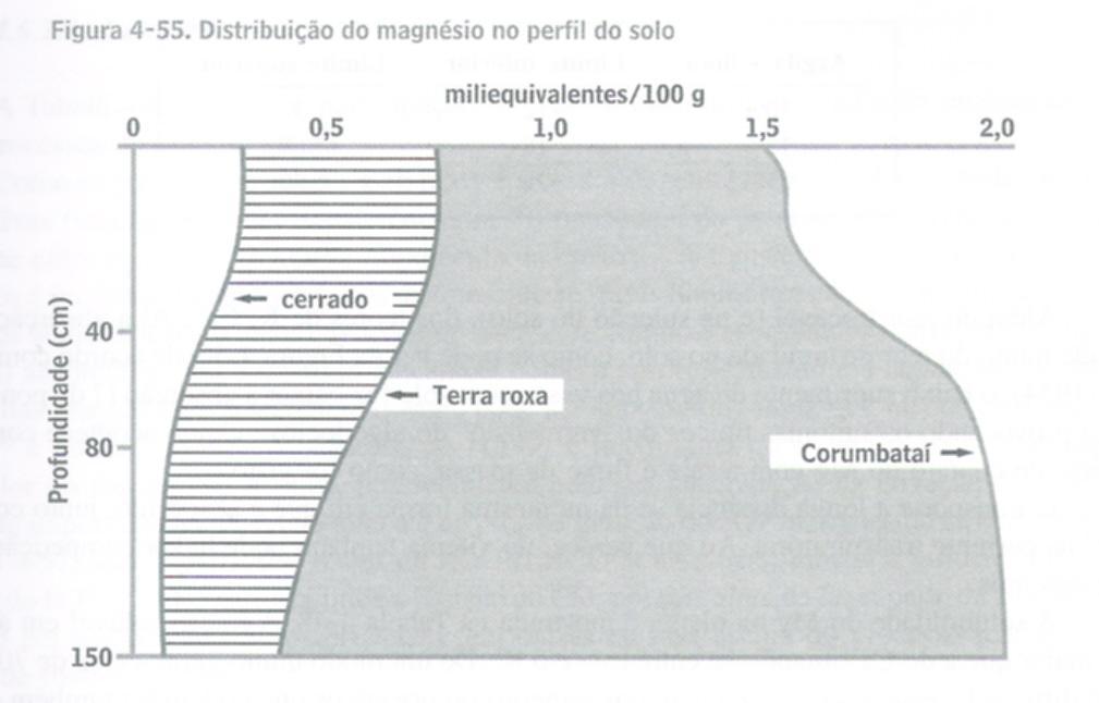 Fonte: PAIVA