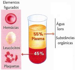 Biologia Tecidos Conjuntivos Prof. Enrico Blota O sangue Pelo fato de ser líquido, revela uma de suas importantes funções, a de transportar substâncias no interior do organismo.