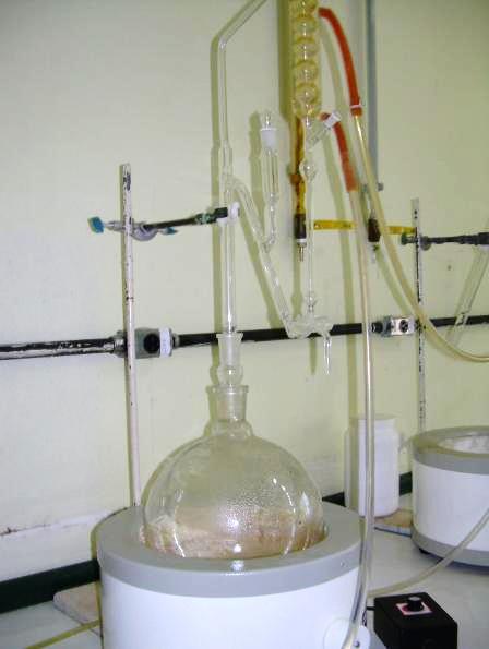 Aparelho de Clevenger Hidrodestilação condensador droga em água tubo
