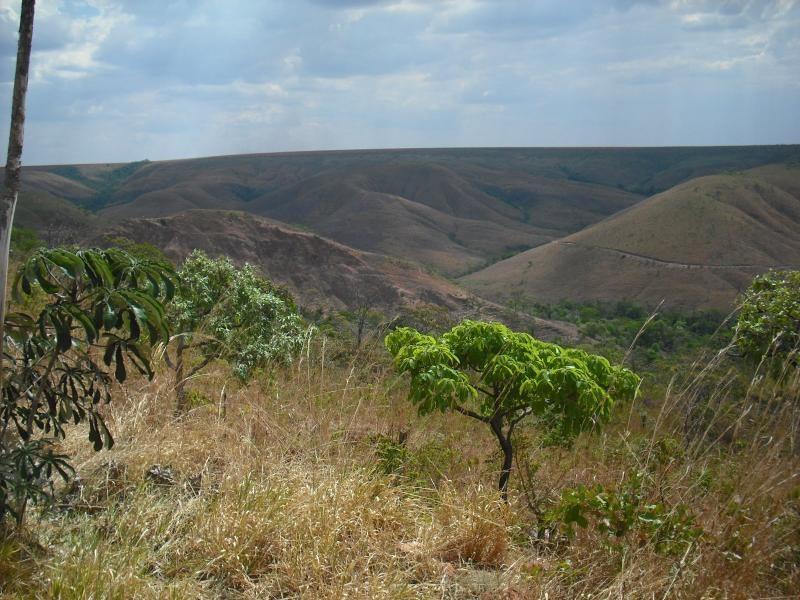 Domínio dos Cerrados O cerrado é um domínio geoecológico característico do Brasil Central, apresentando terrenos cristalinos e sedimentares.