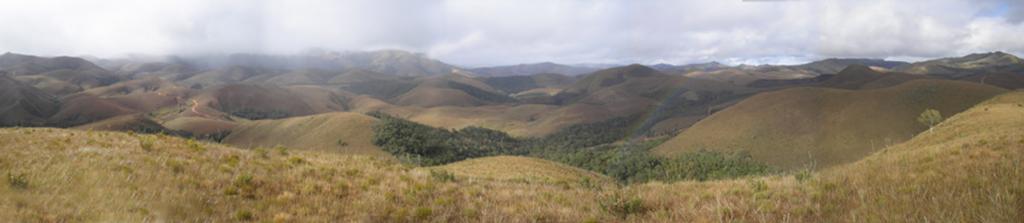 Esse domínio geoecológico localiza-se na porção oriental do País, desde o Nordeste até o Sul. Na região Sudeste, penetra para o interior, abrangendo o centro-sul de Minas Gerais e São Paulo.
