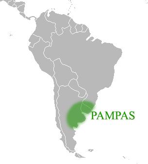 Localização: Extremo sul brasileiro, mais exatamente a sudeste gaúcho, o domínio morfoclimático das pradarias compreende uma extensão de 45.000 km² a 80.000 km². Relevo: Planícies.