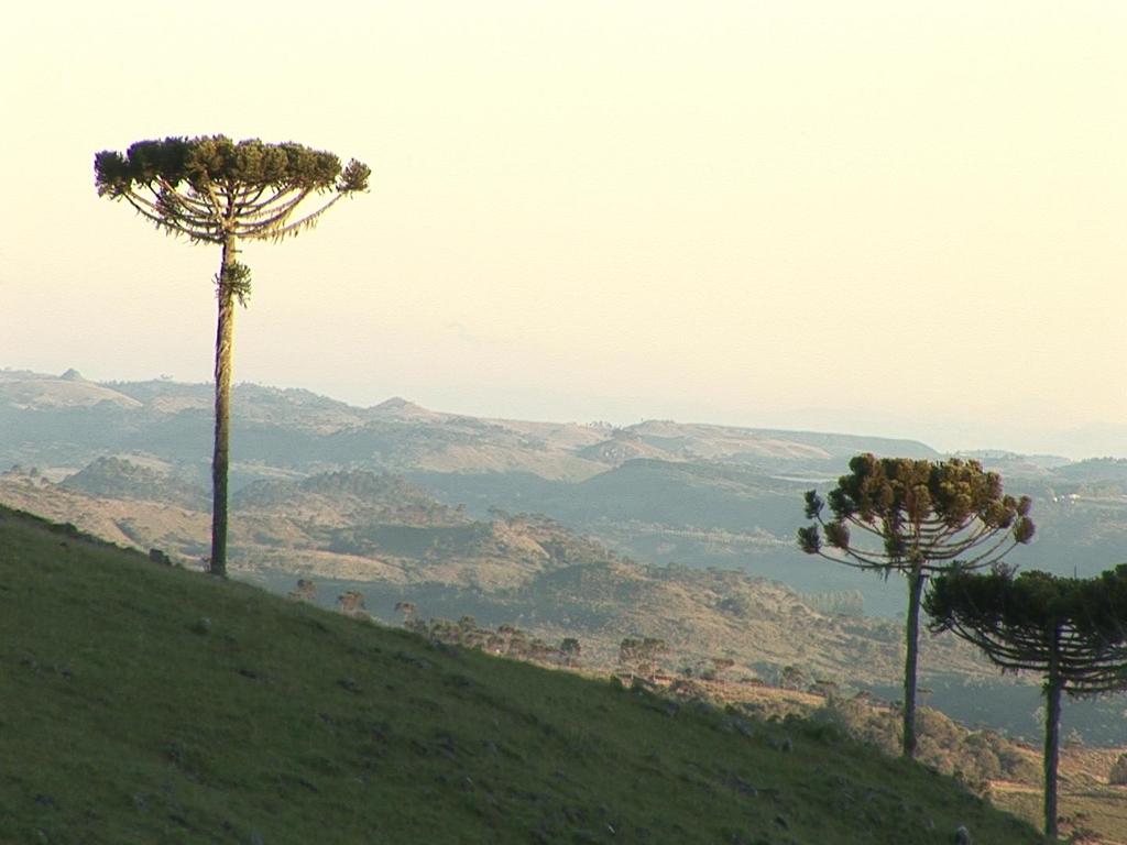 RELEVO Planaltos e chapadas da bacia do Paraná (oeste), depressão