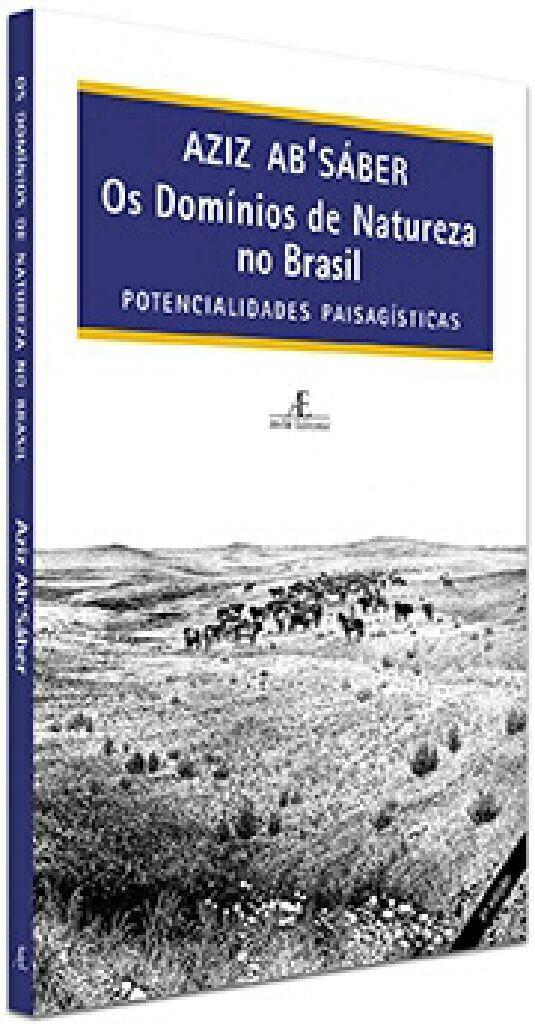 Os domínios morfoclimáticos brasileiros são definidos a partir das características