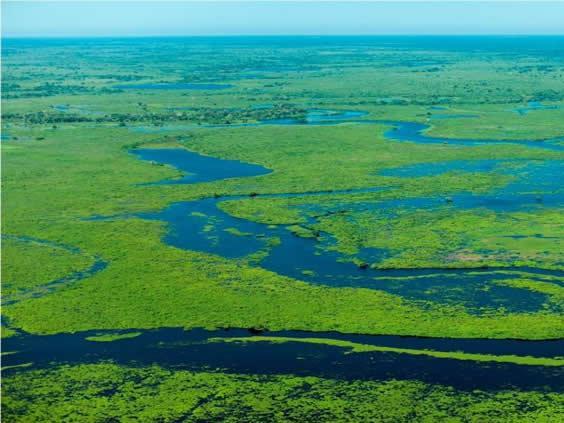 Pantanal, que fica além dos Cerrados, na região Centro-Oeste.