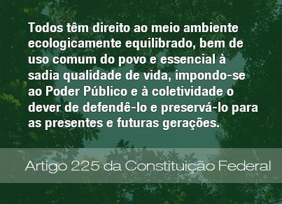 Prof. Igo Tiago - igotiago@oi.