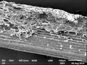 As fibras de caroá foram caracterizadas por por MEV, DSC, TGA, DRX e densidade. A microscopia eletrônica foi realizada utilizando um equipamento da Marca JEOL, Modelo JSM-6610.