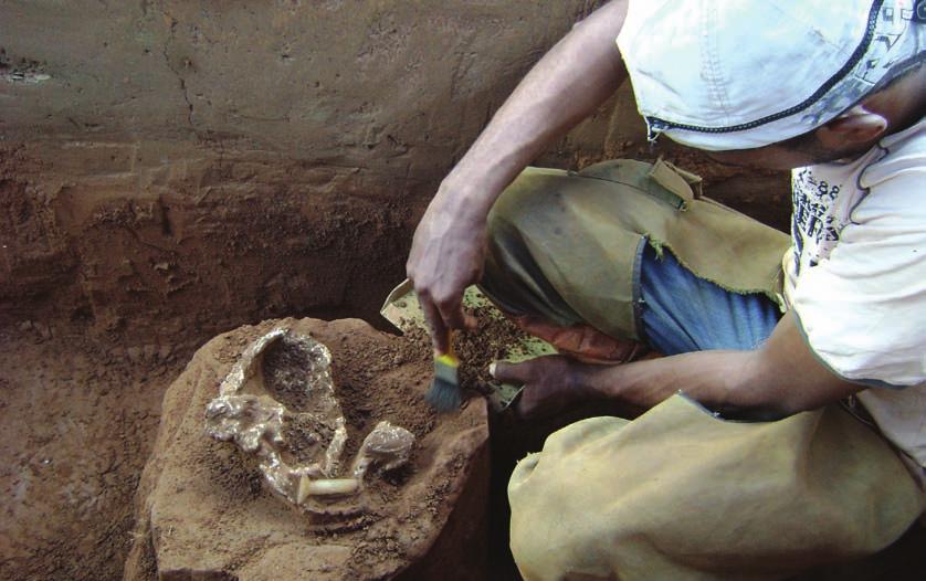 A arqueologia a serviço da história A arqueologia estuda por meio da cultura material a transformação da sociedade ao longo do tempo, seja ele distante ou próximo a nós.