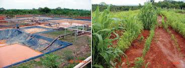 Alguns exemplos de minas e áreas já reabilitadas pela VALE no Brasil Imagens ANTES: