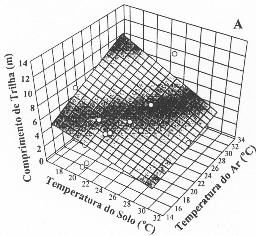 Figura 4 - Comprimento das trilhas de Atta zyxwvutsrqponmlkjihgfedcbazyxwvutsrqponmlk bisphuericu em função