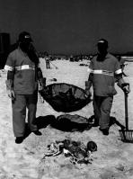 praia da carreta puxada por trator para o caminhão Limpeza de