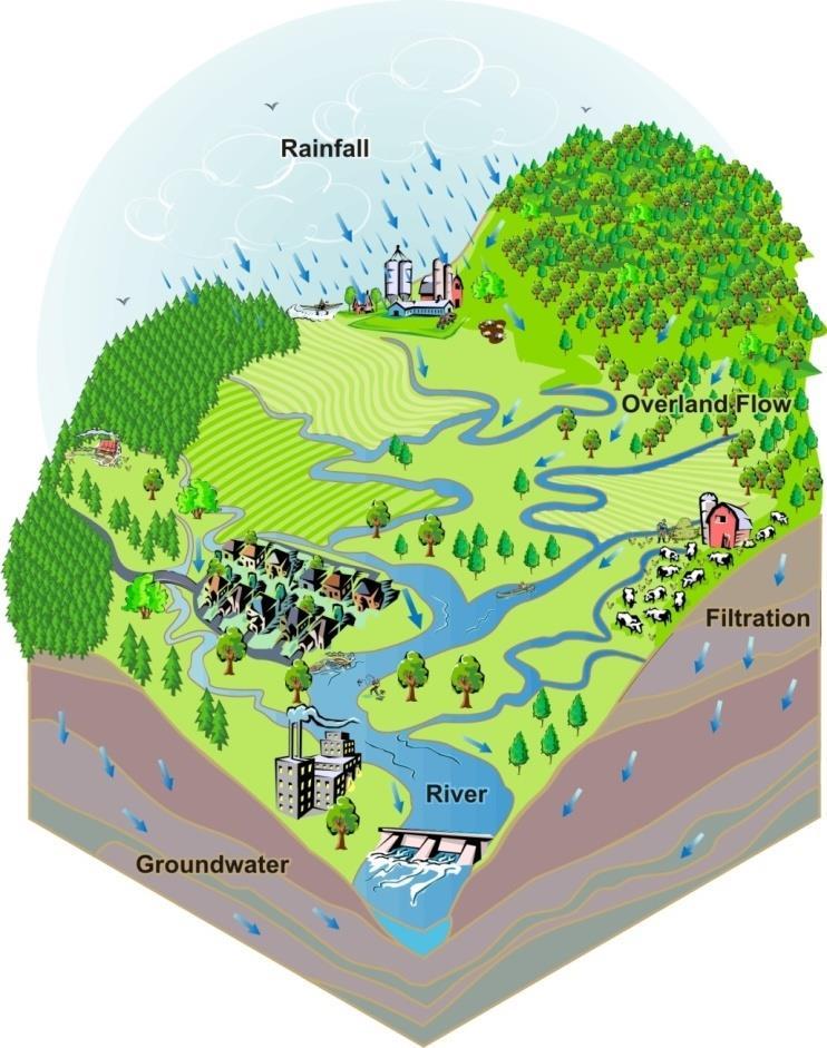 The watershed: the natural unit 23-09-2016 18 Watershed Catchment River basin Hydrographic basin Precipitação