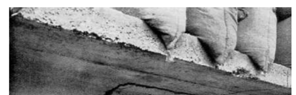 2.2. Modelo de Trelça A pesqusa sobre o mecansmo de resstênca ao csalhamento de vgas de concreto armado remonta ao fnal do século 19 com o aparecmento de elementos de aço, como estrbos, nas construções.