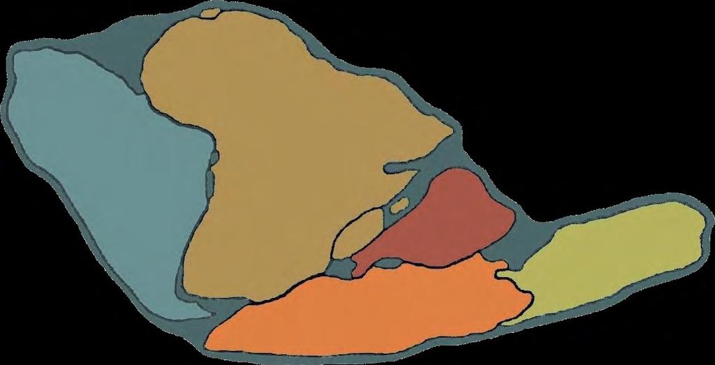 Gondwana 1 cm Fig. 10. Impressões de equinodermos da região entre Ponta Grossa e Palmeira.