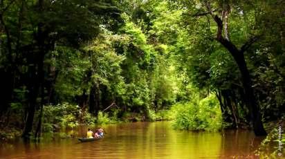 Além das belezas naturais que rodeiam todo o município, a cidade de Manaus possui um dos parques industriais mais importantes de todo o país, que nos últimos anos à converteu em uma grande