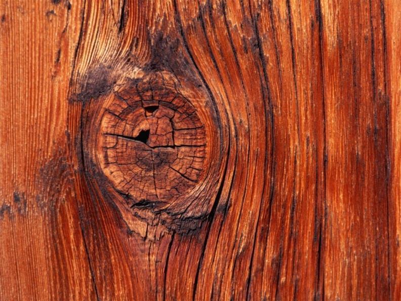 Compósitos naturais A madeira é um compósito natural: Fibra de celulose