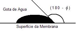 1 I n t r o d u ç ã o m a i o r f o r o v a l o r d o â n g u l o d e c o n t a c t o, m a i o r s e r á a h i d r o f o b i c i d a d e d a m e m b r a n a e m e n o r s e r á o f l u x o d e p e r
