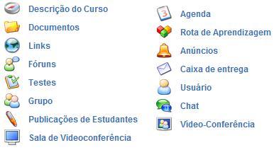 Ensinarnet, Dokeos e AulaNet 3, nos quais são oferecidos cursos de extensão, com diferentes abordagens e de cargas horárias.