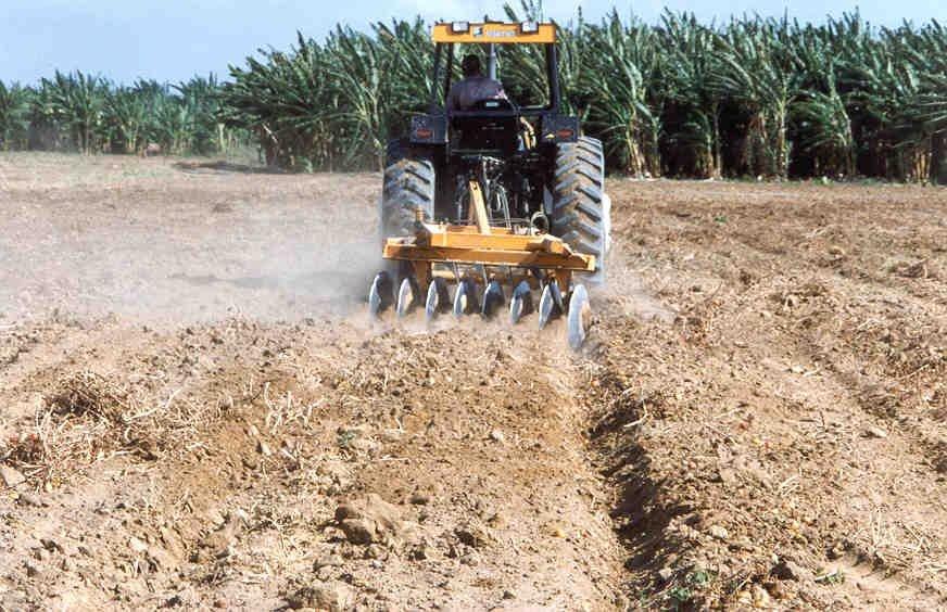 Na agricultura: solo solo é a camada de