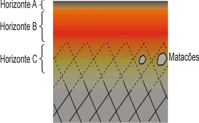 Existem basicamente três horizontes em um perfil de intemperismo completo, conforme o grau de evolução desses