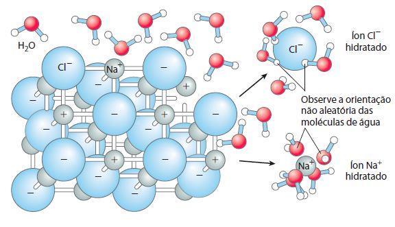Água como solvente A rede cristalina do NaCl é desfeita quando as moléculas de água se aglomeram ao redor dos íons Cl e Na +.