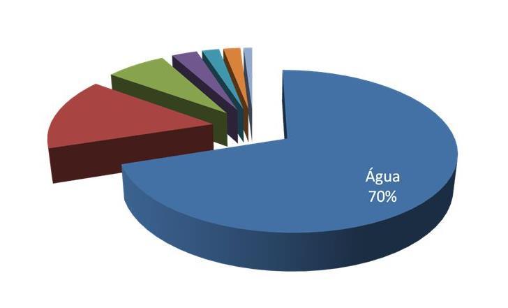 A água é a mais abundante das substâncias presentes na célula As moléculas de proteínas, lipídeos, e polissacarídeos variam de uma