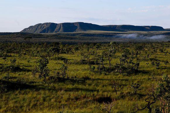 O decreto foi assinado dia 05 de junho, no Dia Mundial do Meio Ambiente, pelo presidente