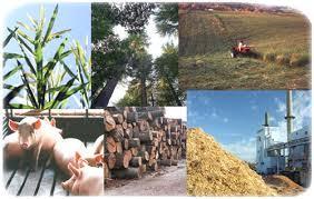 BIOMASSA Do ponto de vista energético, biomassa é todo recurso renovável oriundo de matéria orgânica (de origem