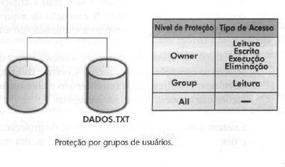 Proteção de Acesso (Grupo de Usuários) Utilizada em muitos sistemas operacionais (LINUX) Implementa três níveis de proteção : OWNER (dono), GROUP (grupo) e ALL (todos) Na criação do arquivo o usuário