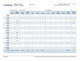 Proporciona uma perspectiva geral do controlo glicémico (diário, nocturno e às refeições) do doente e dados estatísticos abrangentes.