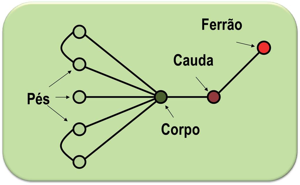 Grafos com apelidos Grafo Escorpião possui 4 tipos de vértice: Um vértice de grau 1