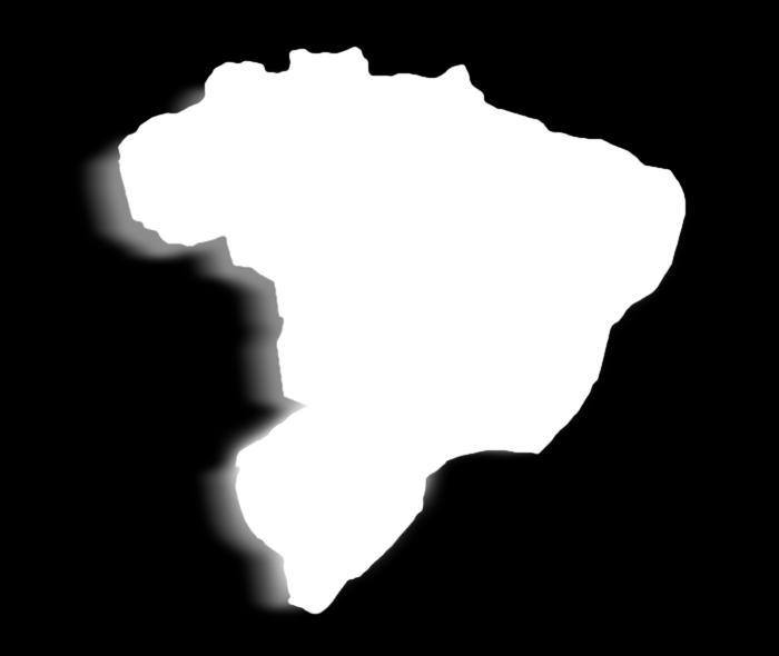 Distribuição dos farmacêuticos por regiões do Brasil Região Sul (2005 2009) Capital Interior Total 15.863 22.645 17.813 25.106 19.
