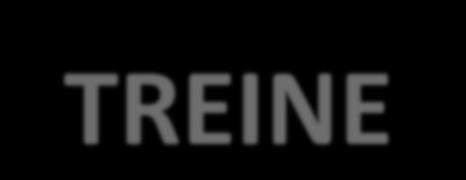 TREINE, seja expert no negócio Para desenvolver habilidades é preciso treinar, treinar e treinar!