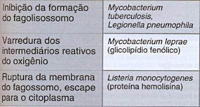 lesão tecidual Patologias difíceis de curar Formação de