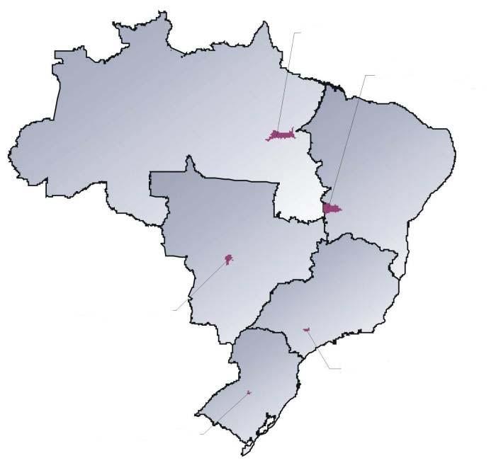 Biodiesel a partir de matéria-prima agrícola comprada no mercado em planta de 40 mil t/ano - Safra 2004/05 Soja: R$ 0,902/litro Dendê: R$ 1,324/litro Soja: R$ 0,951/l Mamona:R$ 2,219/l Car.