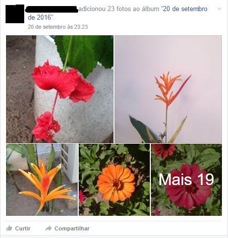 Facebook da Universidade Federal da Paraíba a fim de divulgar o conteúdo florístico do campus para outros estudantes da Universidade.
