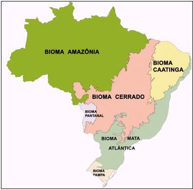 BIOMAS - BRASIL Amazônia Caatinga Cerrado Pantanal Mata