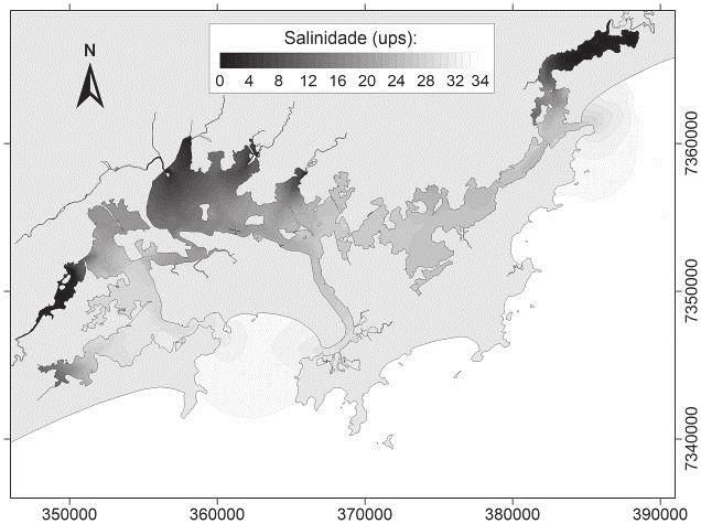 Roversi et al.: Análise das Trajetórias das Águas Continentais Afluentes ao Sistema Estuarino de Santos intrusão salina (vazante), para o período representativo de verão.