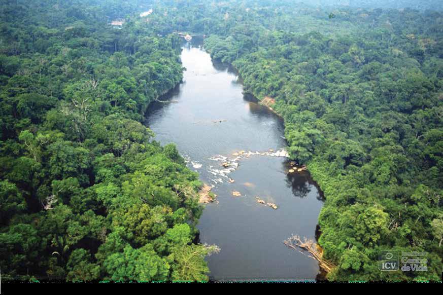 ALTA FLORESTA Cotriguaçu Alta Floresta, MT Cuiabá O ICV tem a sua sede localizada na capital do estado de Mato Grosso, Cuiabá, com mais dois escritórios: um em Alta Floresta, na região norte, e outro