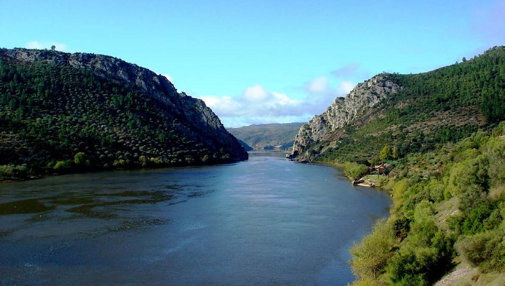 Da areia do fundo do oceano ao cume da montanha quartzítica como podemos comprovar pela existência de marcas de ondulação (ripple marks) comparáveis com aquelas que encontramos hoje nas praias e que