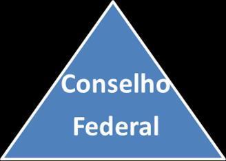 2.1. Conselho Federal (Arts.