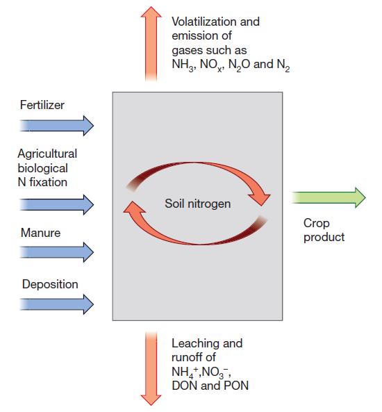 O N na agricultura Improvements in nitrogen use efficiency in crop production are critical for