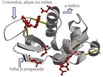 ESTRUTURA