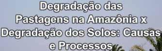 Bernardino Dias-Filho Embrapa Amazônia Oriental