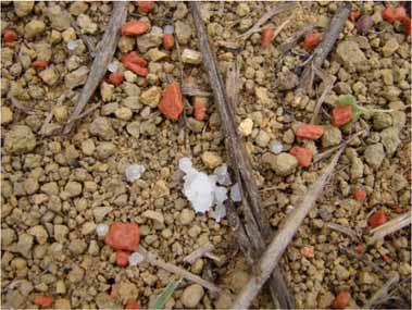 pastagem está diretamente relacionada com a queda na fertilidade do solo A adubação geralmente