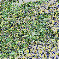 irregular TIN Polylines/C. nível em: Longley, P. A., M. F.