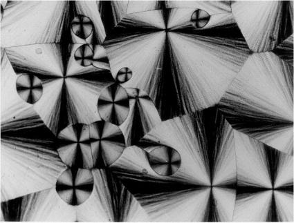 esferulito não anelado esferulito anelado (a) 80µm Figura 12(a) Morfologia