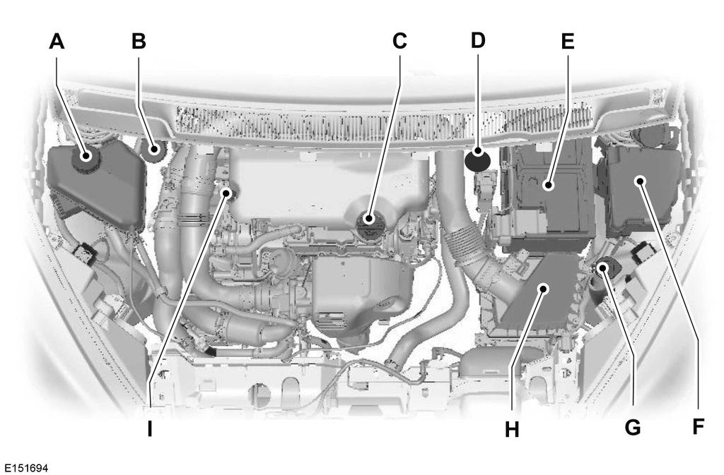 Manutenção VISTA GERAL DEBAIXO DO CAPOT - 1.0L ECOBOOST A B C D E F G Depósito de expansão * : Consulte Verificar o líquido de arrefecimento do motor (página 151).